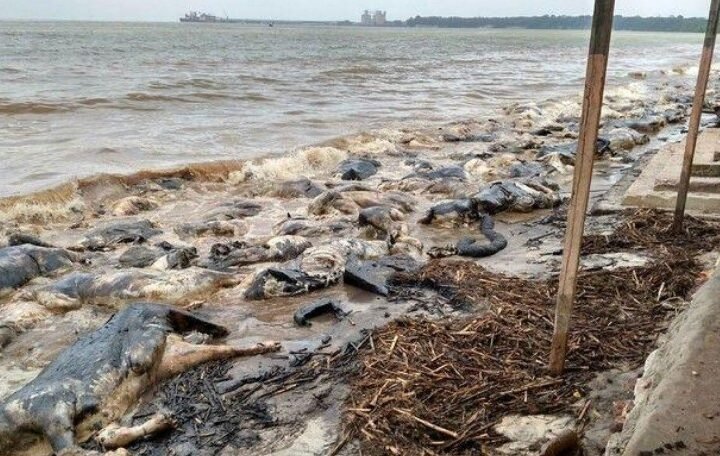 Navio Haidar: Sob olhar do mundo e tensão institucional, TJPA julga tragédia de 2015