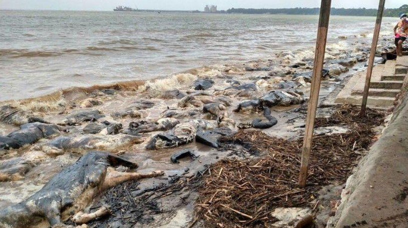 Navio Haidar: Sob olhar do mundo e tensão institucional, TJPA julga tragédia de 2015