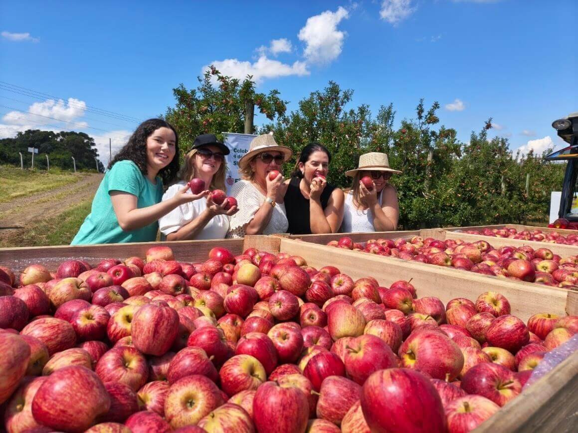 Abertura da Colheita da Maçã 2026 destaca força econômica do setor e potencial turístico da região